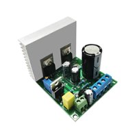 ★5W★パワーアンプモジュール