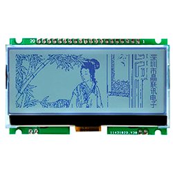 画像1: ★256x96★グラフィックスLCDモジュール